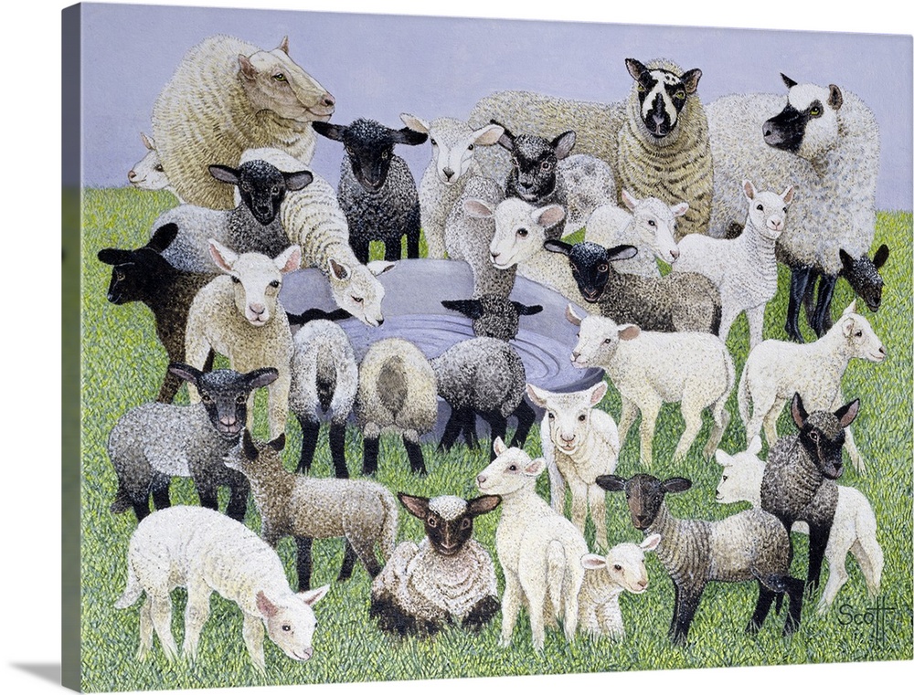 Collection of several sheep of different colors and sizes.