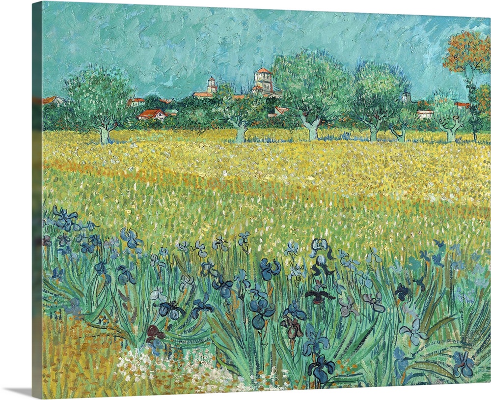 Field with Flowers near Arles, 1888, oil on canvas.  By Vincent van Gogh (1853-90).