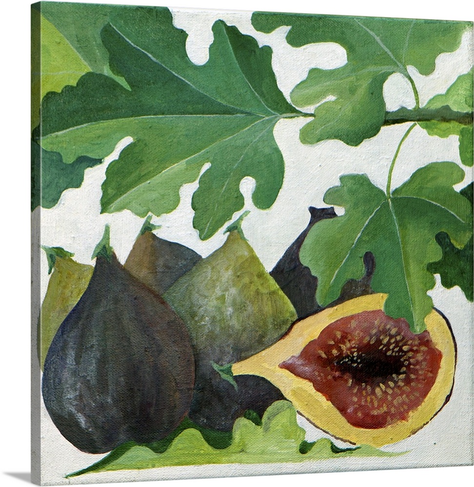 Contemporary painting of a halved fig sitting with other figs.