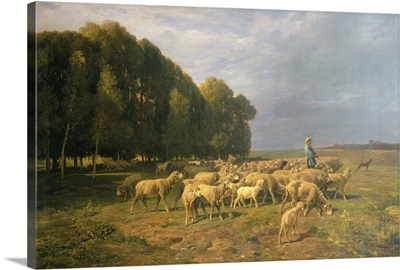Flock of Sheep in a Landscape