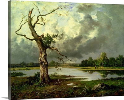 French River Landscape