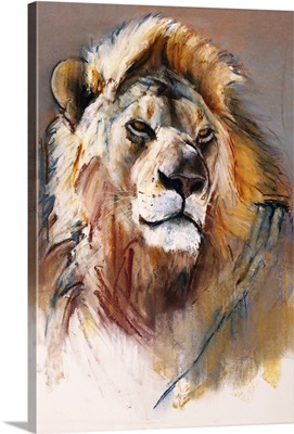 Gemsbok Lion, 2020