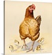 image thumbnail of Contemporary painting of a mother hen and four small chicks.