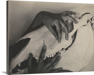 Georgia O'Keeffe-Hands and Horse Skull, 1931