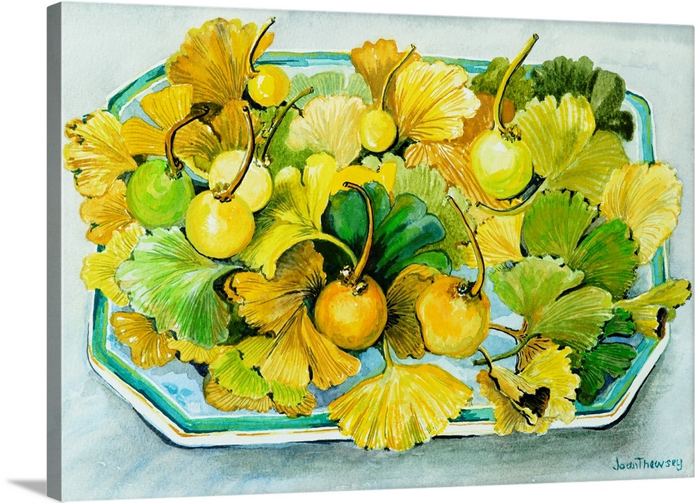 Ginkgo, fruit and Leaves, 2010, originally watercolor on paper.