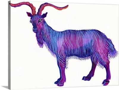 Goat Capricorn, 1996