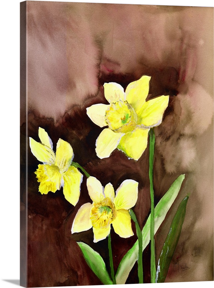 Contemporary watercolor painting of  bright yellow daffodils.