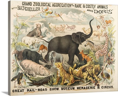 Grand Zoological Aggregation Of Rare And Costly Animals With Batcheller And Doris