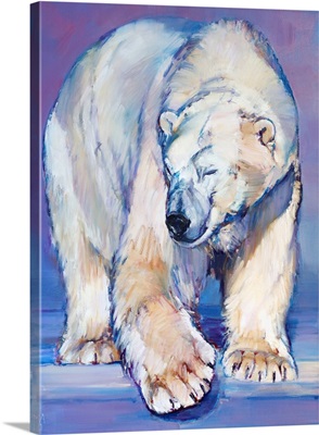 Great White Bear, 2016