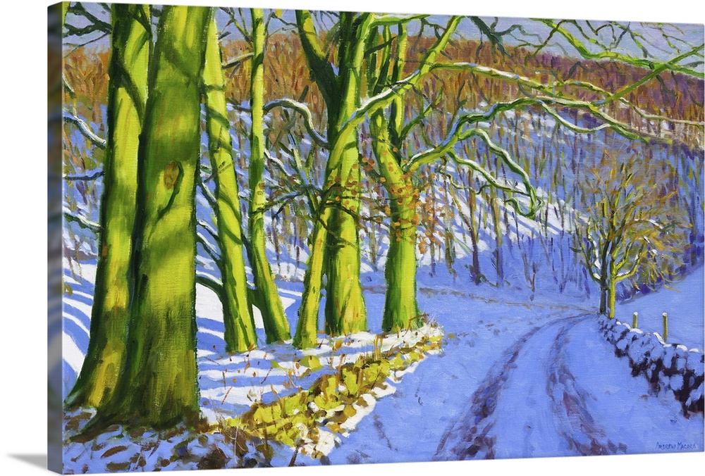 Green Trees, Winter, Dam Lane, Derbyshire, oil on canvas.  By Andrew Macara.