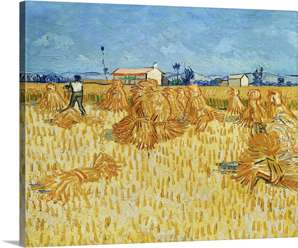 Harvest In Provence June, 1888