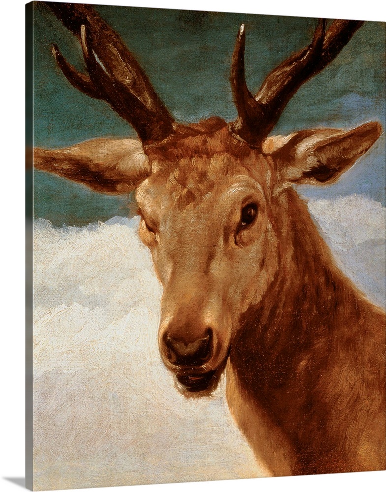 Head of a Stag, 1634