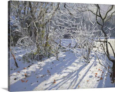 Hoar frost, Markeaton, Derby. UK. 2012