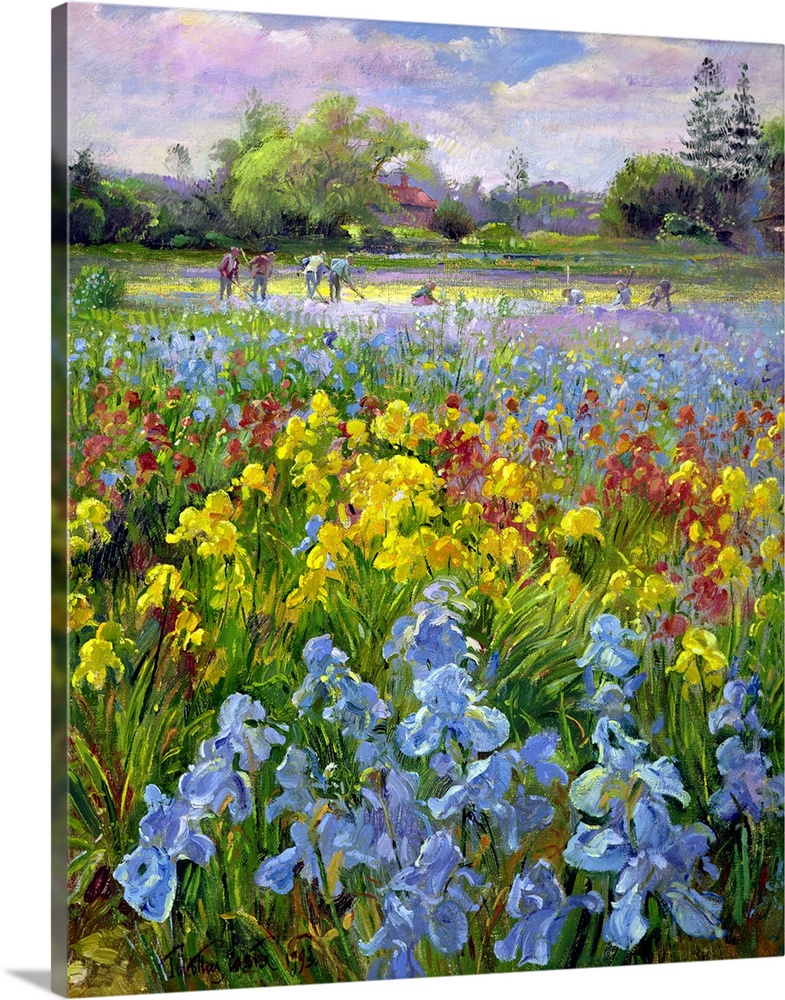 Vertical, oversized floral painting of a field of multicolored irises, a large group of people in the distant background a...