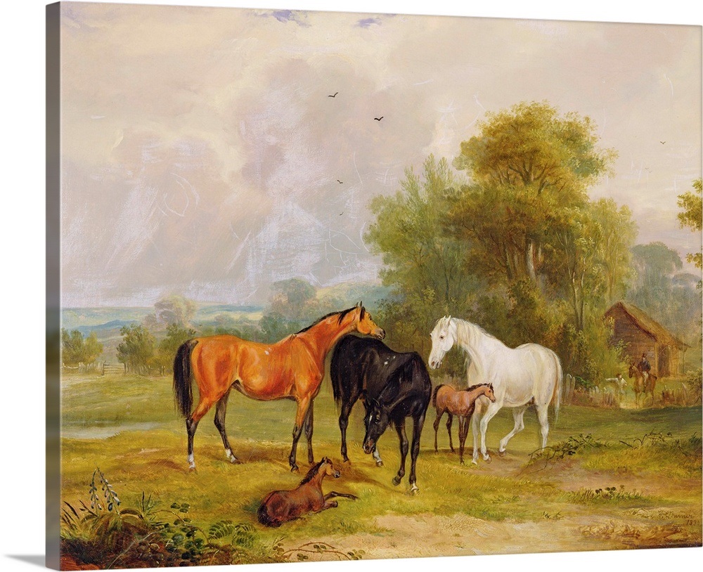 Horses Grazing: Mares and Foals in a Field Wall Art, Canvas Prints ...