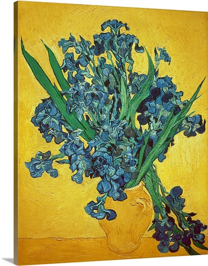 Irises, 1890 Photo Canvas Print | Great Big Canvas