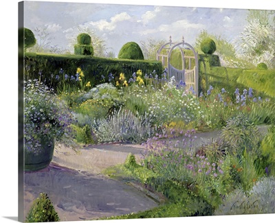 Irises in the Herb Garden, 1995