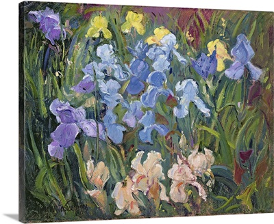 Irises: Pink, Blue And Gold, 1993