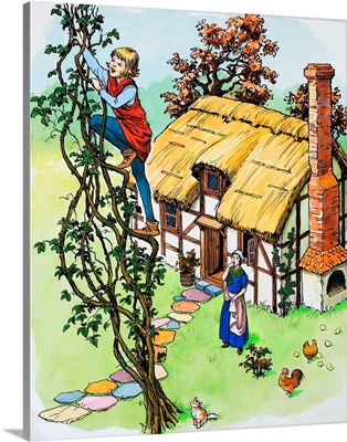 Jack climbs the beanstalk, illustration from 'Jack and the Beanstalk', 1969