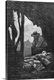 image thumbnail of Jean Valjean veille sur Cosette endormie; engraved by Edmond Yon (1836-97) and Jules Leon Perrichon (1836-97); Victor Hugo...