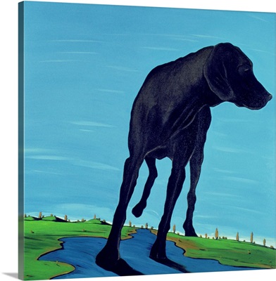 Joe's Black Dog (new view), 2000
