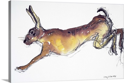 Jumping Hare