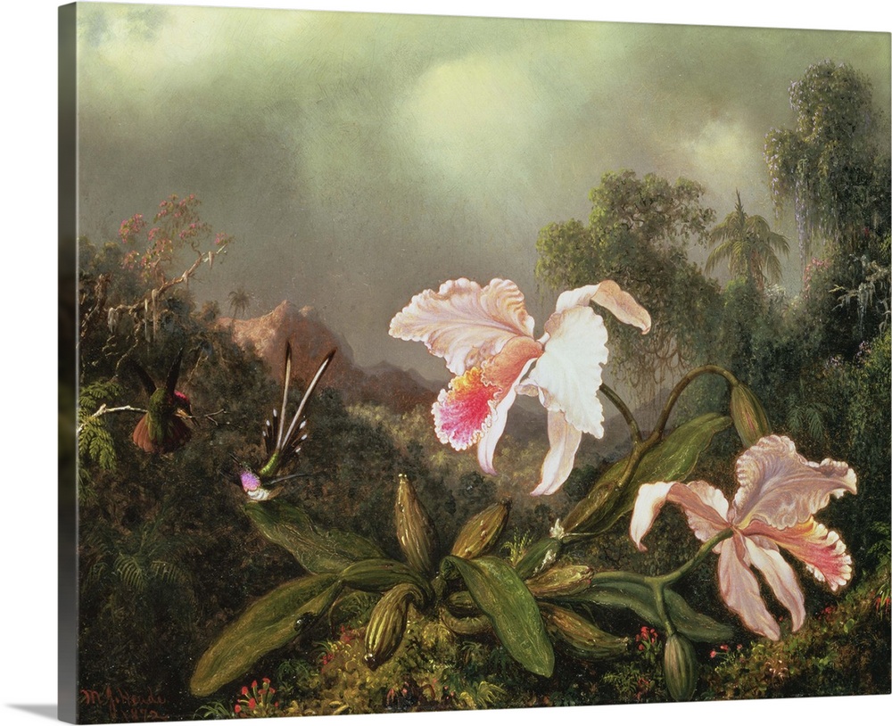 XTD68580 Jungle orchids and hummingbirds, 1872 (oil on canvas)  by Heade, Martin Johnson (1819-1904); 45.7x58.4 cm; Yale U...