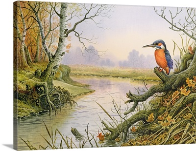 Kingfisher: Autumn River Scene