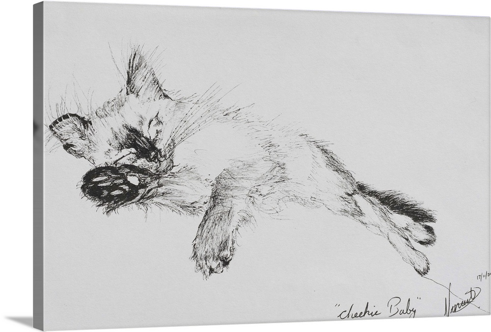 Contemporary illustration of a kitten sleeping soundly.