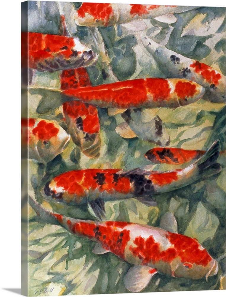 Contemporary painting of a group of red and white koi fish in a pond.