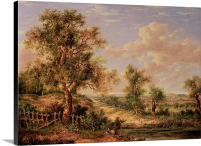 Landscape, 19th century