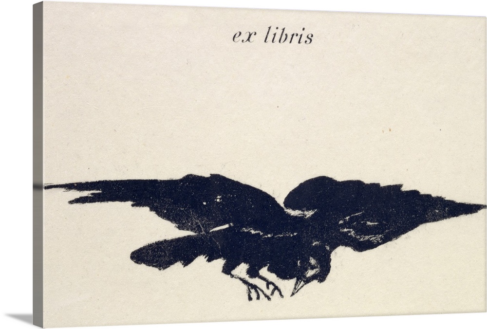 Large, horizontal artwork of an illustrated raven flying on a light, neutral background.  Text at the top reads "ex libris...
