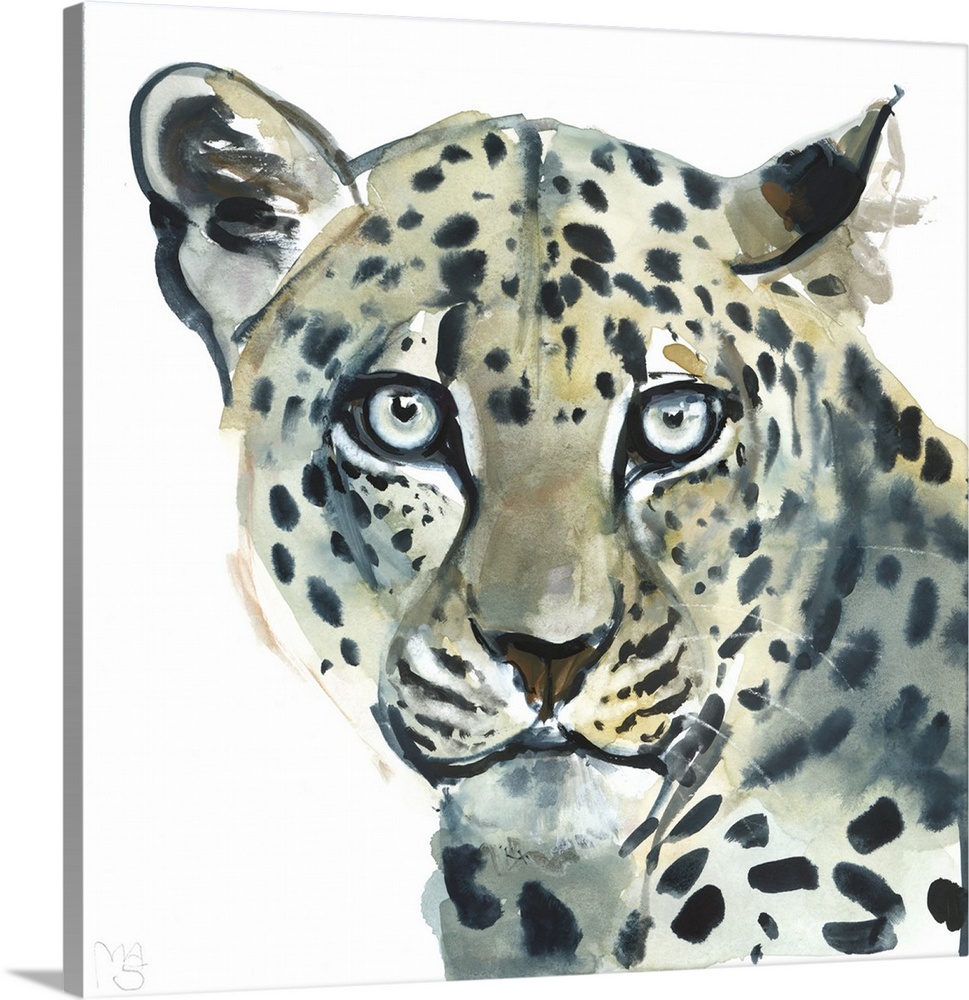 Leopard, 2015, (watercolour on paper) by Mark Adlington.