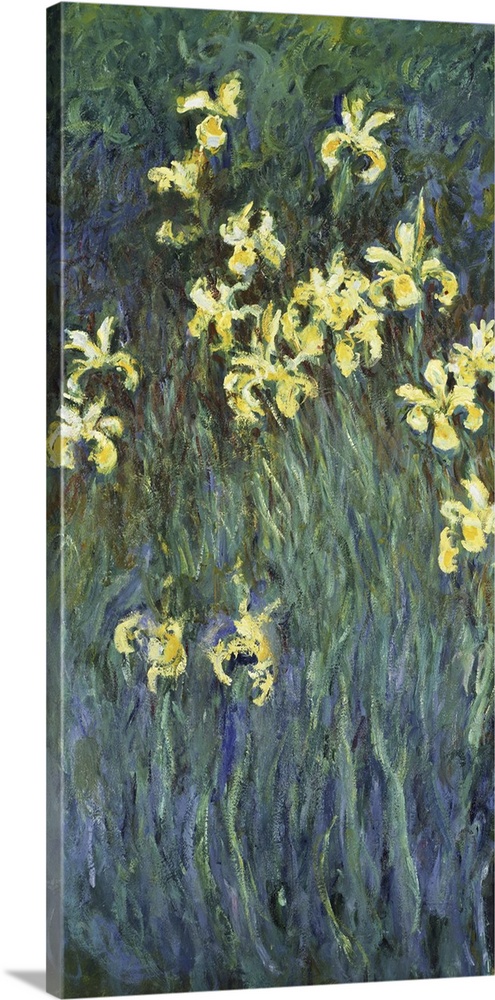 Les Iris Jaunes (Yellow Irises), 1914-17