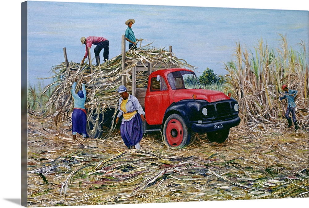 Oil painting on canvas of five people loading canes onto a truck in the middle of a field.