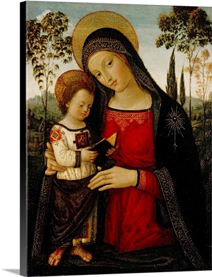 Madonna And Child, C1490-1495
