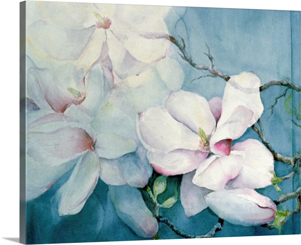 Contemporary watercolor painting of three magnolia flowers on thin, delicate branches, almost fading into the pale backgro...