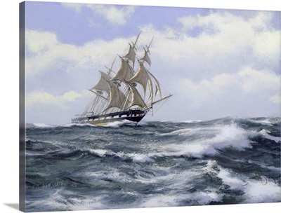 Marco Polo'- "The Fastest Ship In The World", 2003
