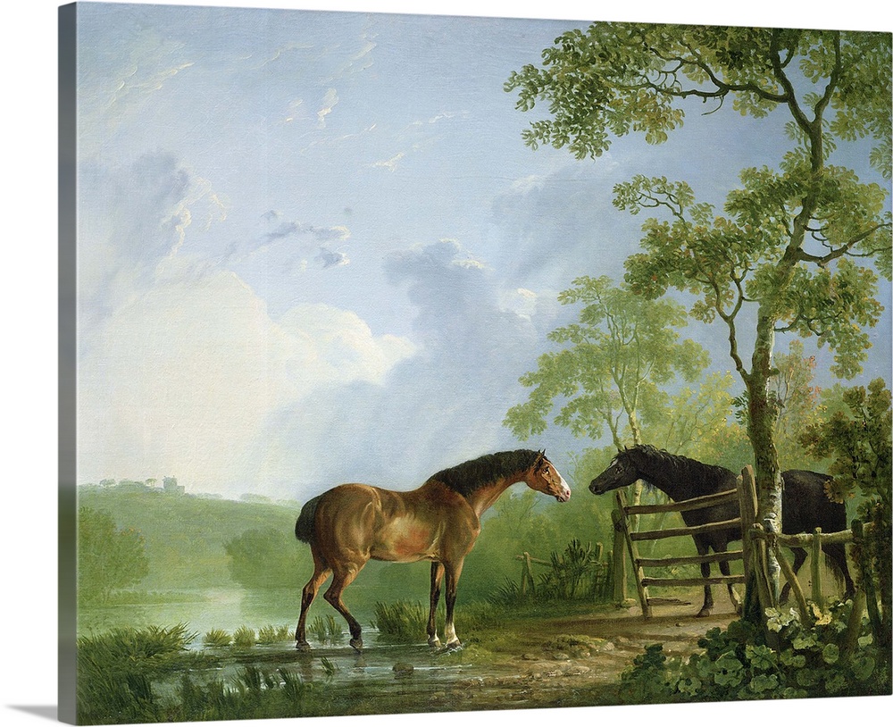 BAL226691 Mare and Stallion in a Landscape (oil on canvas)  by Gilpin, Sawrey (1733-1807); 63.5x76.2 cm; Private Collectio...