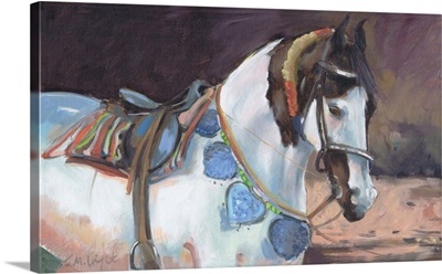 Marwari Horse II
