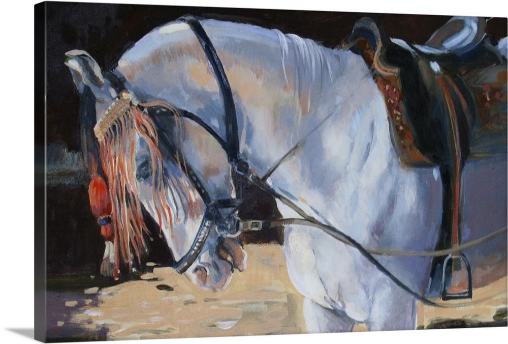 Marwari Horse, Rajasthan, 2010 (oil on canvas) by Wright, Jennifer.