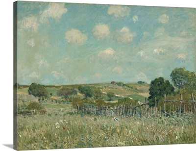 Meadow, 1875