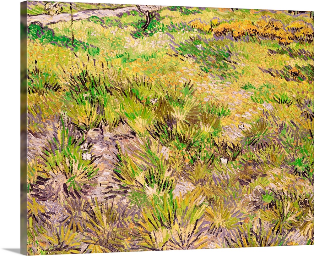 Meadow with Butterflies, 1890