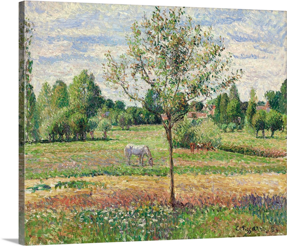 Meadow with Grey Horse, Eragny, 1893