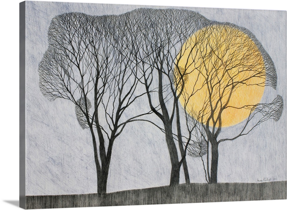 Fine-tip drawing of bare branch trees enveloping a giant moon.