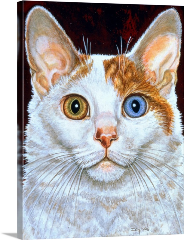 Minette, 1996 | Great Big Canvas