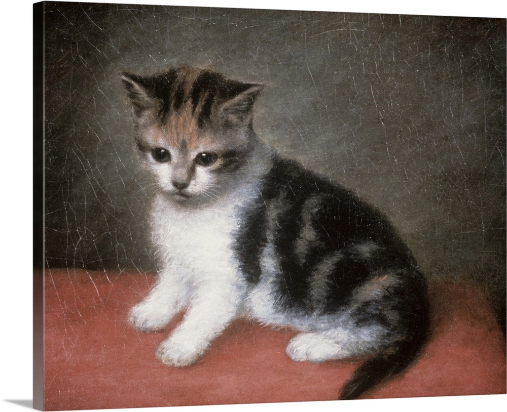 BAL4870 Miss Ann White's Kitten, 1790  by Stubbs, George (1724-1806); oil on canvas; 25.4x30.5 cm; Roy Miles Fine Painting...