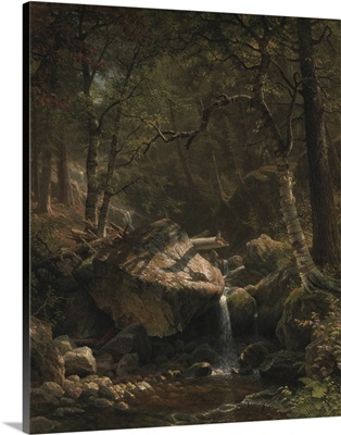 Mountain Brook, 1863
