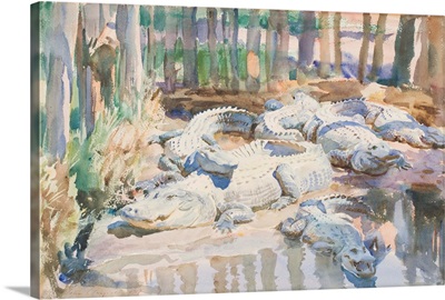 Muddy Alligators, 1917