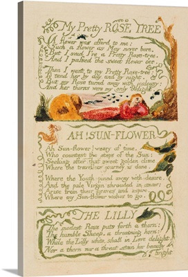 'My Pretty Rose Tree,' and 'Ah! Sun-flower,' and 'The Lily,' from 'Songs of Experience'